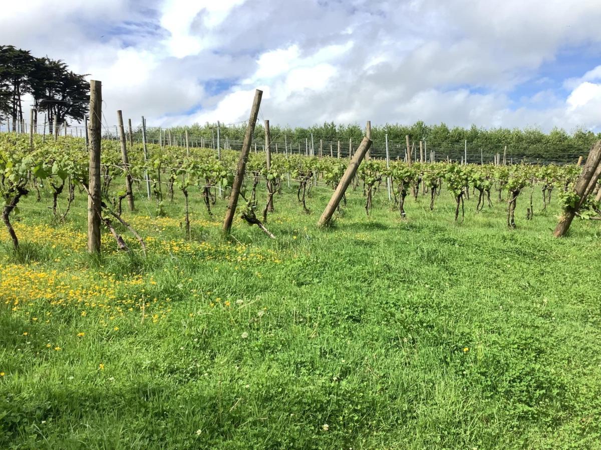 Апартаменти Polgoon Vineyard Annex Пензанс Екстер'єр фото